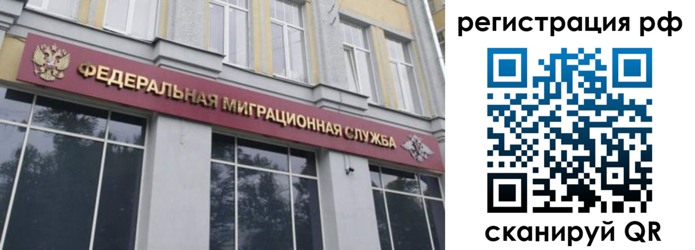 прописка законно в Карачеве